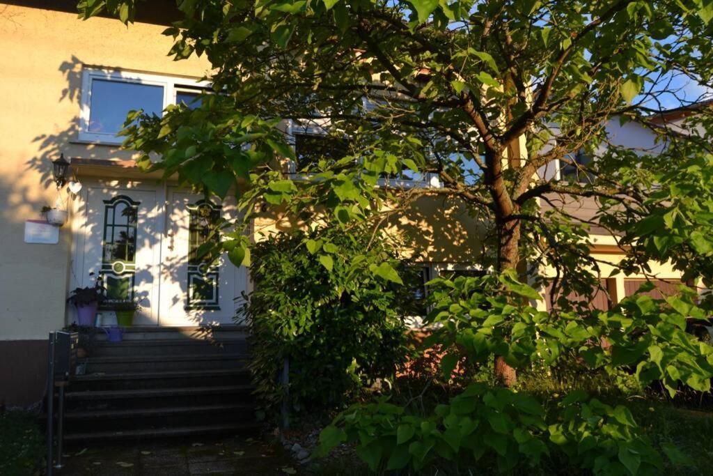 Maison Madlene Frickenhausen  Luaran gambar
